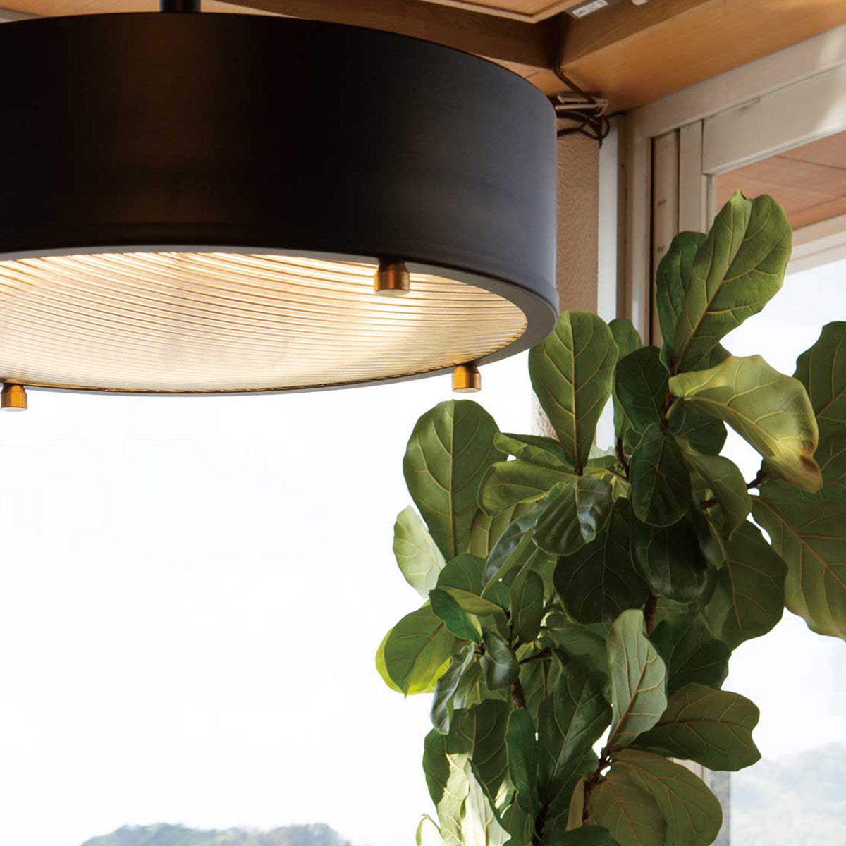 CM-009N | NEIL CEILING LAMP ニール シーリングランプ