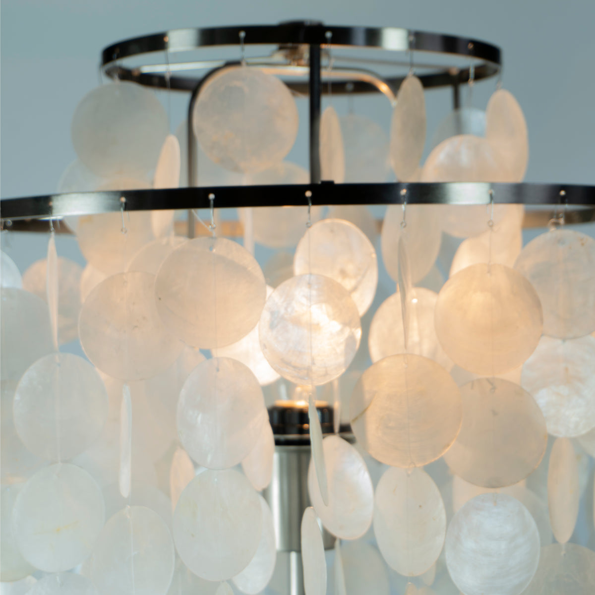 LCLP-008 | SHELL FLOOR LAMP シェル フロアランプ